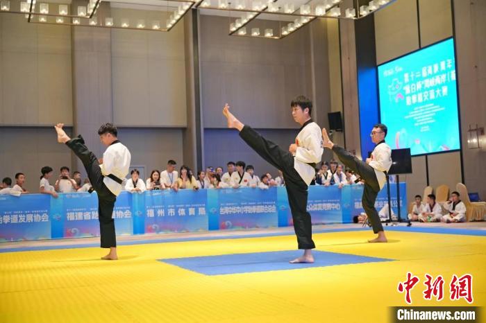 福州举行第十二届海峡青年节“稀白杯”海峡两