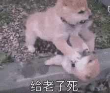 伦纳德65场创生涯新高 快船冲击季后赛附加赛